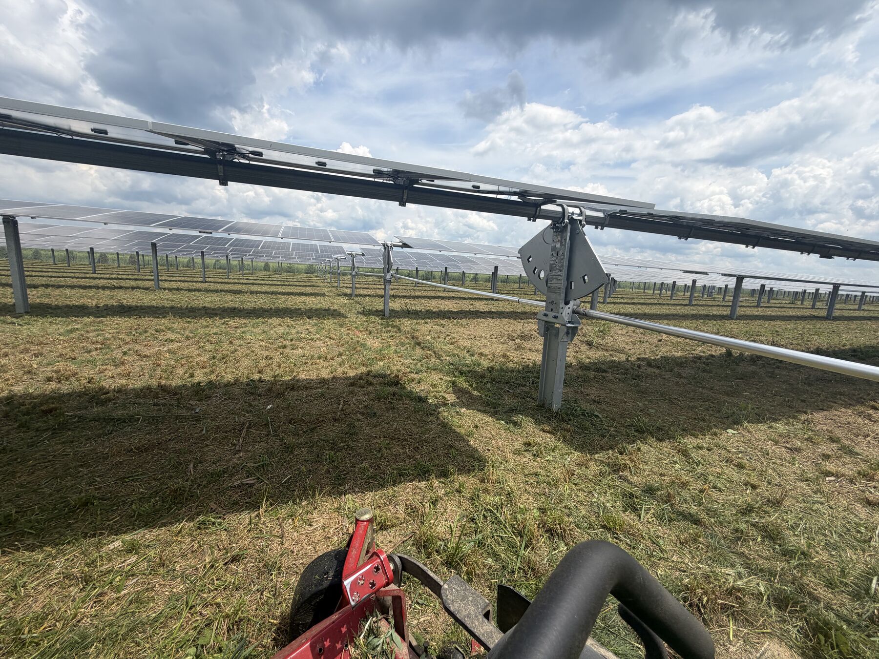 Mower working between rows