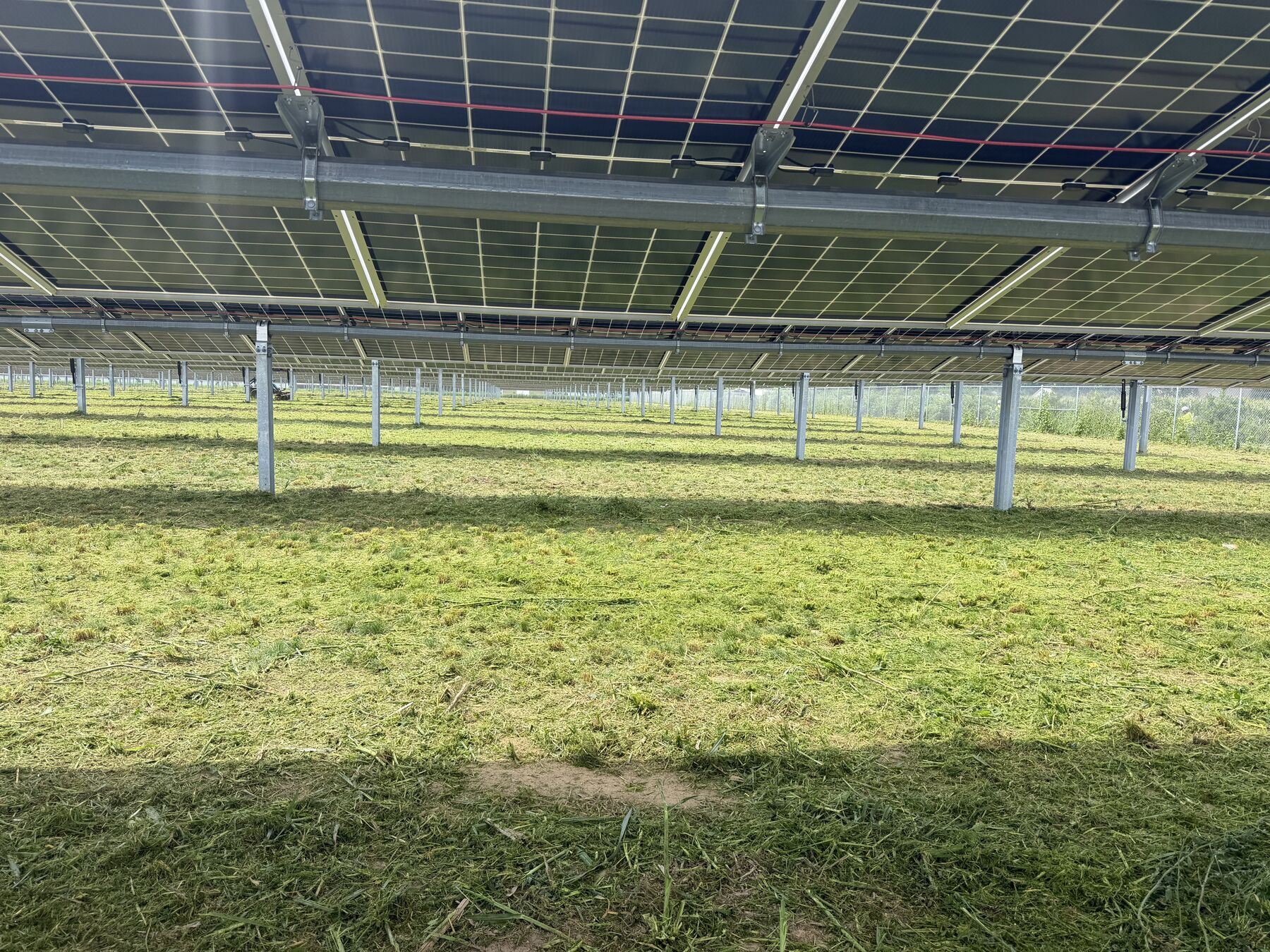 Mowing beneath the panel rows