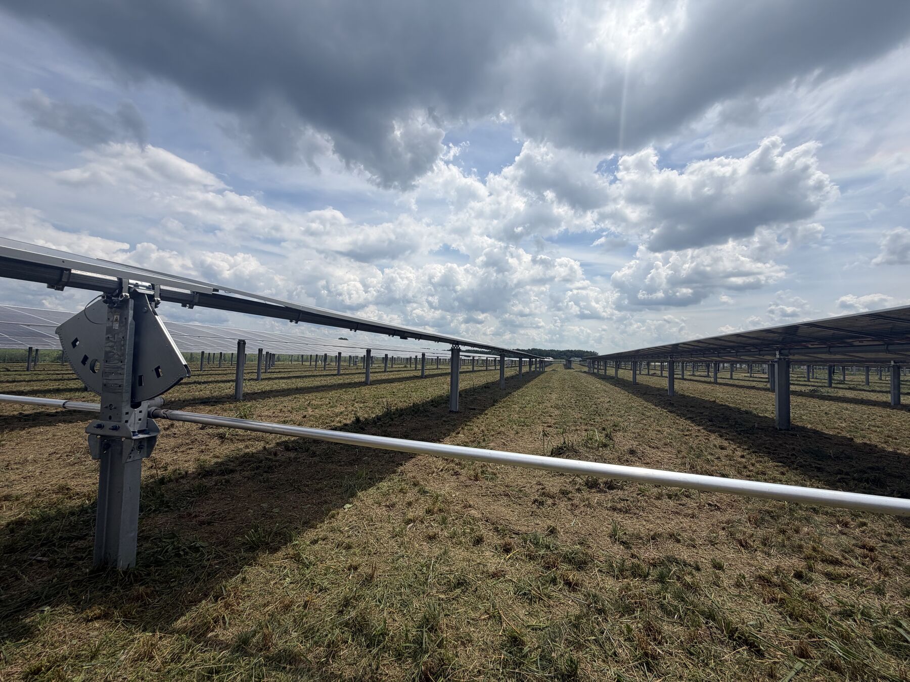 Tracker rows and site clearance