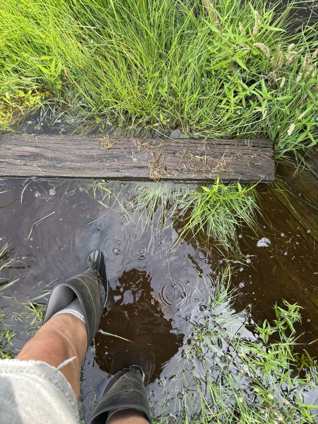 Boots standing in flood water over hardscape blocks beside a landscape timber and tall grass