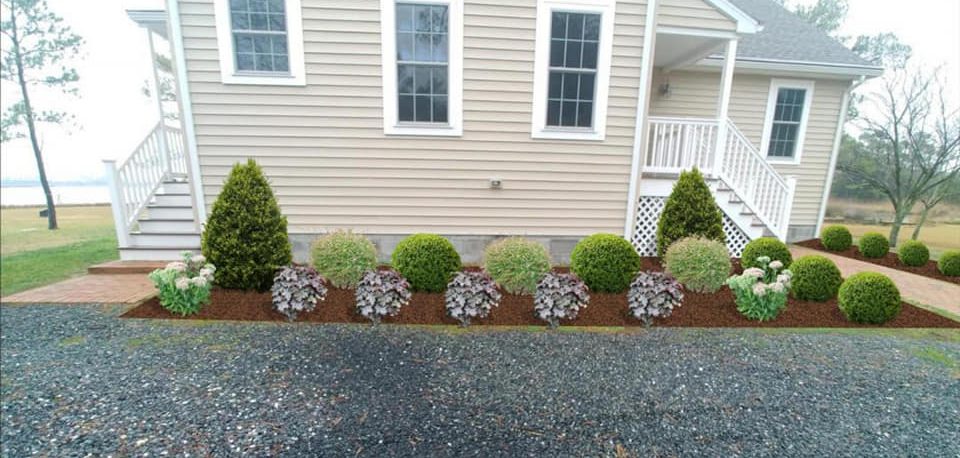 house-beds
