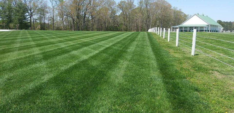 oxford-md