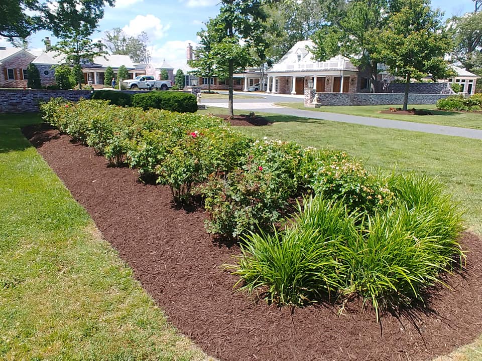 curb-appeal HOA Services